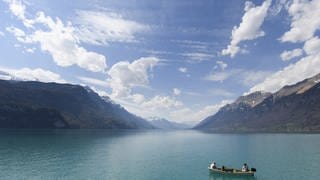 Brienzersee umgeben von Bergen