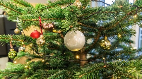 Ein Weihnachtsbaum steht in der Tagesaufenthaltsstätte für Wohnungslose der Diakonie Hamburg.