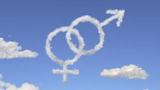 SWR1 Hitparade 2004 Männer gegen Frauen - Der kleine Unterschied zählt doch (Venus- und Marssymbol als Wolkenformation)