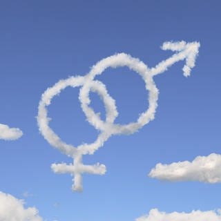 SWR1 Hitparade 2004 Männer gegen Frauen - Der kleine Unterschied zählt doch (Venus- und Marssymbol als Wolkenformation)