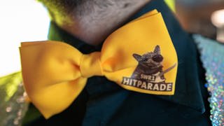 SWR1 Hitparade Final-Party Freiburg: Hitparaden-Fliege am Hals von Moderator Corvin Tondera-Klein