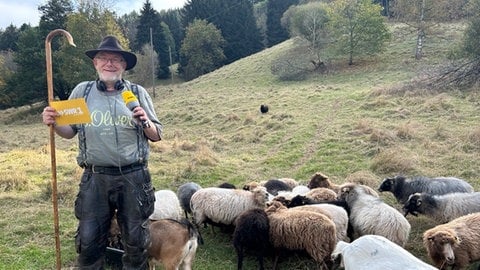 Schäfer Jörg mit seinen Schäfchen.