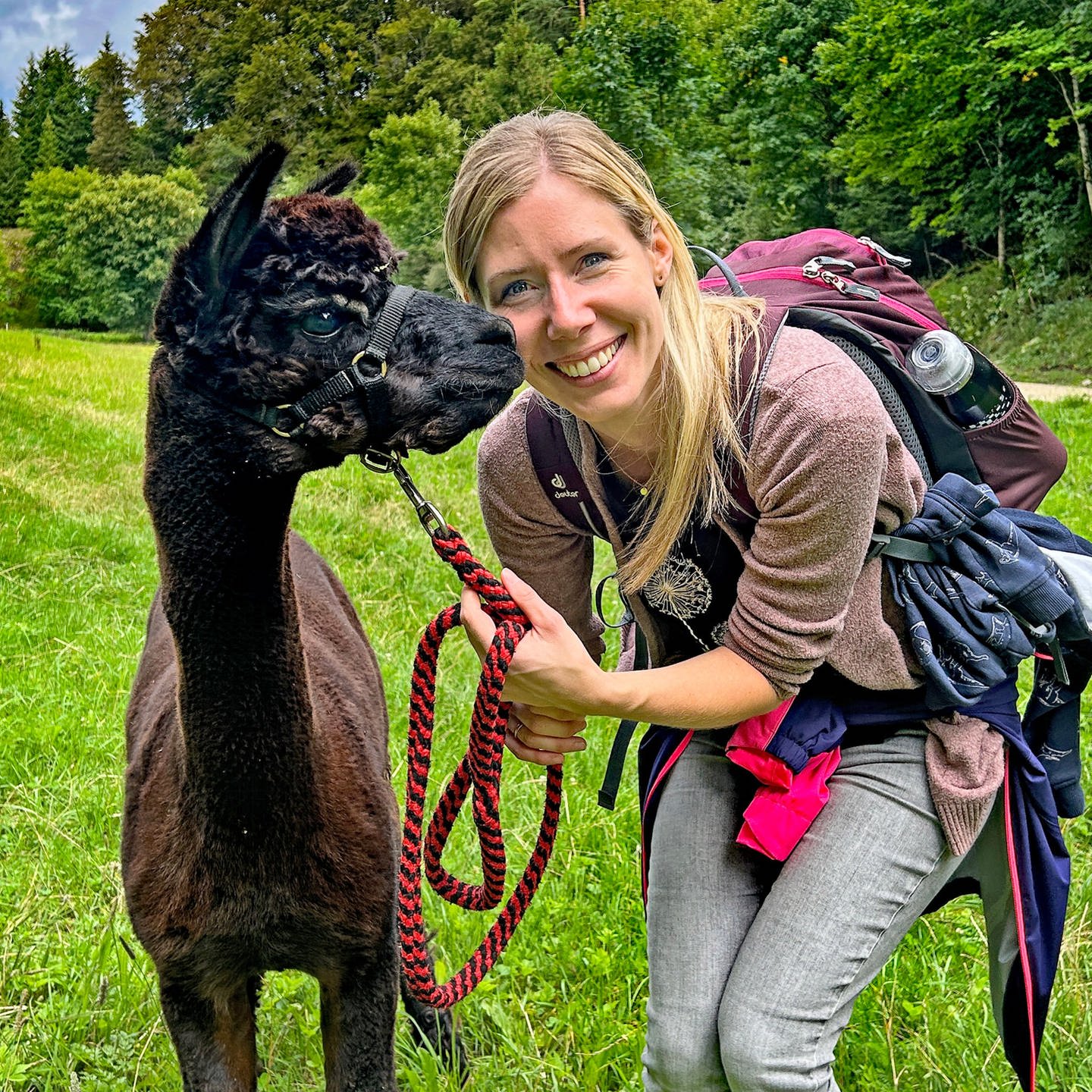 Sooo flauschig Saskias Alpaka Tag mit SWR1 war traumhaft SWR1