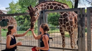 "Der perfekte Tag" im Zoo Karlsruhe