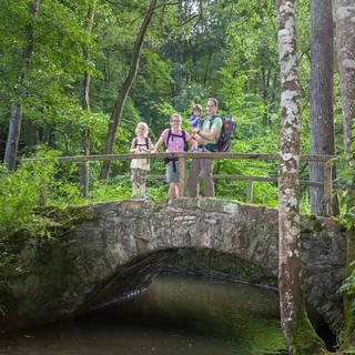 Wanderer auf dem Wanderweg Sieben Täler Runde bei Rottenburg stehen auf einer Brücke im Wald, darunter fließt ein Bach.