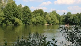 Das Wasser der Bürgerseen bei Kirchheim unter Teck und Nürtingen schimmert grün. Die Seen sind das ideale Ziel für einen Ausflug in Baden-Württemberg.