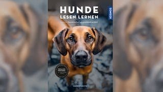 Das Cover zum Buch "Hunde lesen lernen" von Maren Grote. Ein Hund schaut mit "Dackelblick" in die Kamera