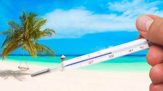 Krank im Urlaub: Eine Frau steht an einem Palmenstrand vor türkisblauen Meer - davor ragt eine Hand ins Bild, die ein Fieberthermometer mit 39.1° C anzeigt. (Fotomontage: SWR)