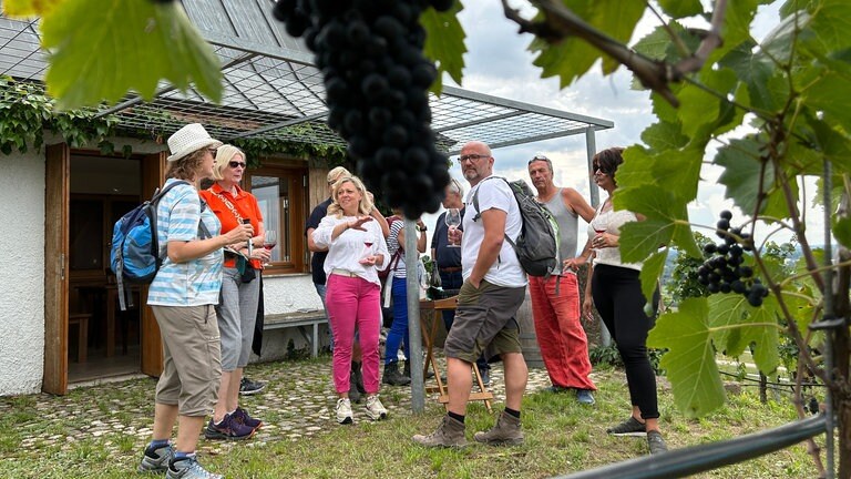 Martin aus Freiburg, Ursula aus Heidelberg und Cornelia aus Heilbronn haben die SWR1 Pfännle Weinwanderung gewonnen. Was sie erlebt haben, zeigen wir euch hier.