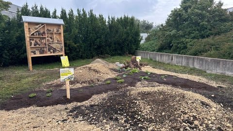 Sandarium bei der Firma Uzin Utz in Ulm, die ein naturnahes Betriebsgelände haben.