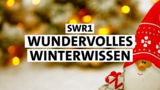 Der SWR1 Adventskalender - Wundervolles Winter-Wissen. Jeden Tag ein neues Türchen für Sie, mit überraschenden Geschichten!