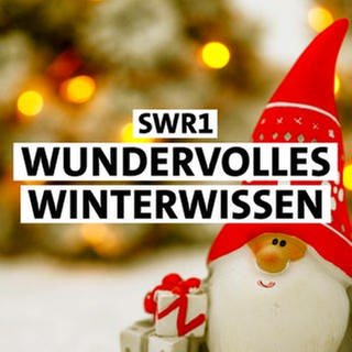 Der SWR1 Adventskalender - Wundervolles Winter-Wissen. Jeden Tag ein neues Türchen für Sie, mit überraschenden Geschichten!