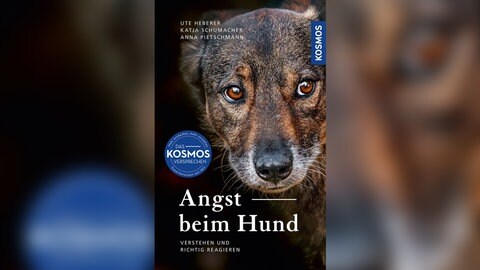 Buchcover "Angst beim Hund" von Ute Heberer, Katja Schumacher und Anna Pietschmann