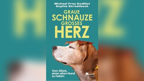 Buchcover "Graue  Schnauze großes Herz" von Michael Frey Dodillet und Sophie Strodtbeck