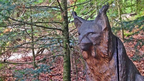 Eine Luchsfigur aus Holz steht am Luchspfad im Nordschwarzwald in Baden-Württemberg. Die Wanderung eignet sich für Outdoor Fans, die gut zu Fuß sind. Wanderungen gehen auch super am Bodensee oder auf der Schwäbischen Alb.