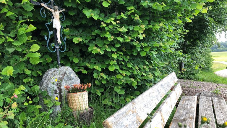 Natur im Hotzenwald. Wir haben Wanderungen rund um den Bodensee oder die Schwäbische Alb gesammelt.