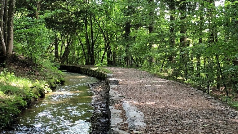 Natur im Hotzenwald. Wir haben Wanderungen rund um den Bodensee oder die Schwäbische Alb gesammelt.