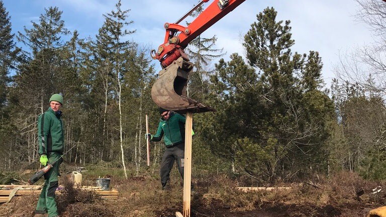 Mit einem Bagger wird eine Spundwand im Schwandener Moos eingesetzt.