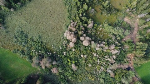 Der Blindele-See im Allgäu von oben betrachtet