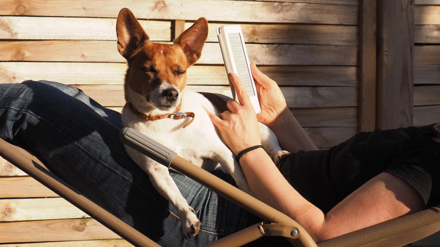 Eine Frau liegt in Jeans und schwarzem T-Shirt auf einer Sonnenliege und liest ein Buch auf einem E-Book-Reader. Auf ihrem Schoß sitzt ein Jack Russell Terrier. Tipps: Mit diesen Tipps für den Sommer 2024 findet ihr Bücher zum lesen bei jedem Wetter.