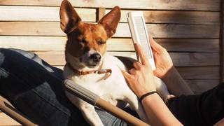 Eine Frau liegt in Jeans und schwarzem T-Shirt auf einer Sonnenliege und liest ein Buch auf einem E-Book-Reader. Auf ihrem Schoß sitzt ein Jack Russell Terrier. Tipps: Mit diesen Tipps für den Sommer 2024 findet ihr Bücher zum lesen bei jedem Wetter.