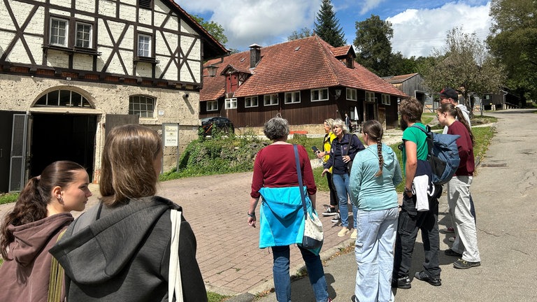 Der perfekte Tag in Marbach: "Pferde pur" auf dem Haupt- und Landgestüt