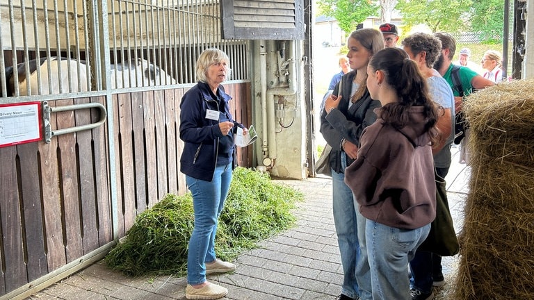 Der perfekte Tag in Marbach: "Pferde pur" auf dem Haupt- und Landgestüt: In der Box hinter Gestüts-Mitarbeiterin Andrea steht der schnellste Schecke der Welt: "Silvery Moon".