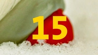 Wundervolles Winter Wissen: der SWR1 Adventskaler - jeden Tag ein neues Türchen mit jede Menge Winterwissen zum Hören