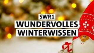 Der SWR1 Adventskalender - Wundervolles Winter-Wissen. Jeden Tag ein neues Türchen für Sie, mit überraschenden Geschichten!