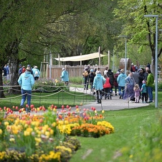 Landesgartenschau in Wangen