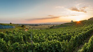 Winklerberg am Abend