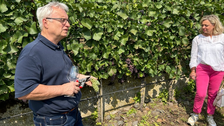 Martin aus Freiburg, Ursula aus Heidelberg und Cornelia aus Heilbronn haben die SWR1 Pfännle Weinwanderung gewonnen. Was sie erlebt haben, zeigen wir euch hier.