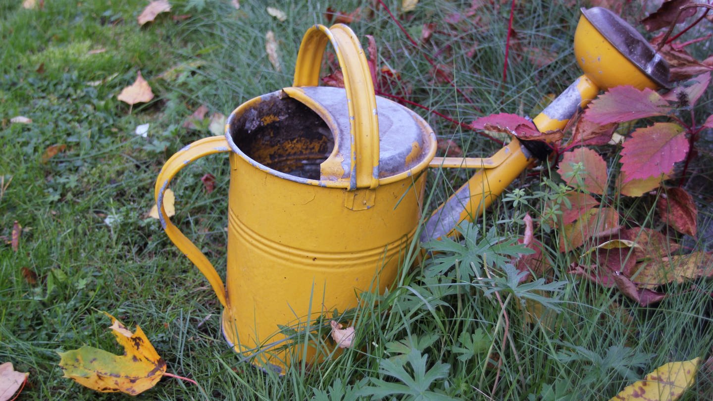 Kaffee Oder Tee Garten Düngen englnscruy