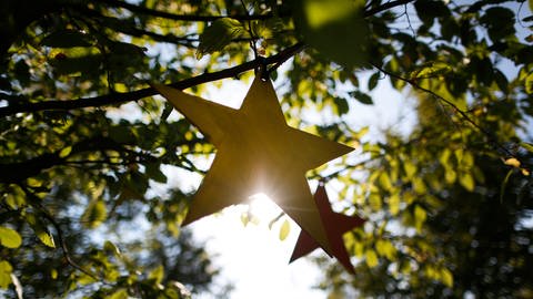 Zwei Sterne hängen in einem Baum. Die Blätter werden durch die Sonne im Hintergrund angestrahlt