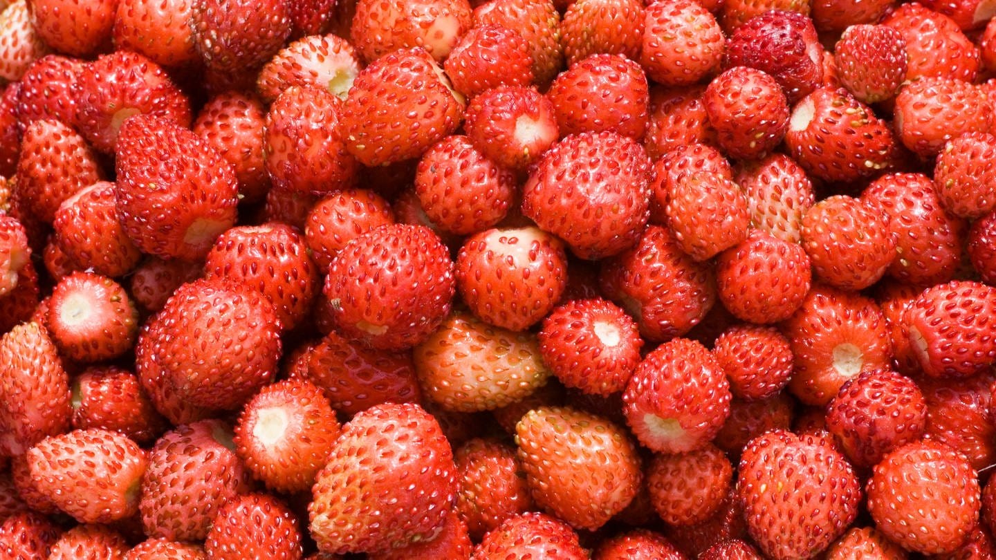 Erdbeeren