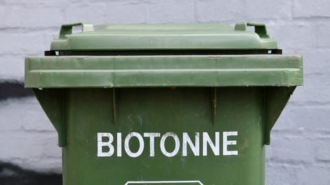 So halten Sie die Biotonne im Sommer sauber