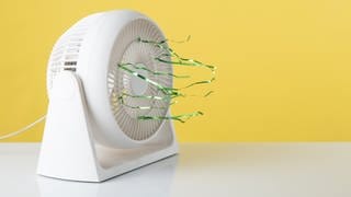Ventilator | "Kühl-Gadgets" - bei Hitze cool bleiben