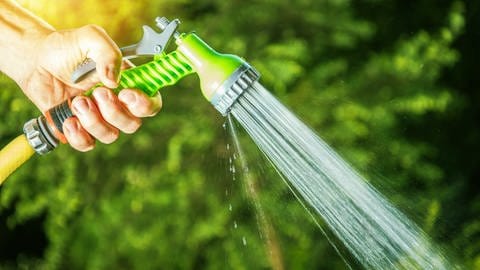 Schlauchbrause | So bewässern Sie Ihren Garten richtig