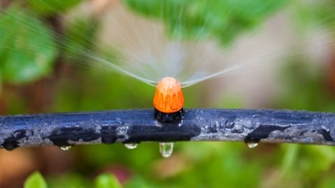 Sprühschlauch | So bewässern Sie Ihren Garten richtig