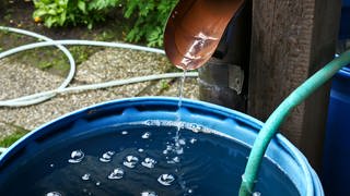 Regentonne | Wie Sie mit dem Regendieb legal Wasser klauen