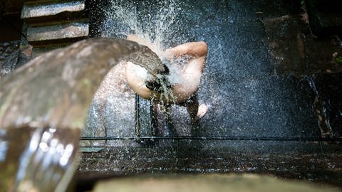 Kühle Orte in Rheinland-Pfalz: Walddusche Gleisweiler