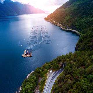 Unnützes Urlaubswissen über Norwegen