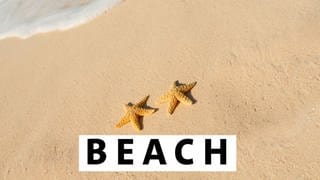 Strand mit Seesternen - SWR1 Webchannel Beach