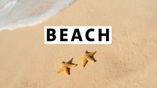 Strand mit Seesternen - SWR1 Webchannel Beach