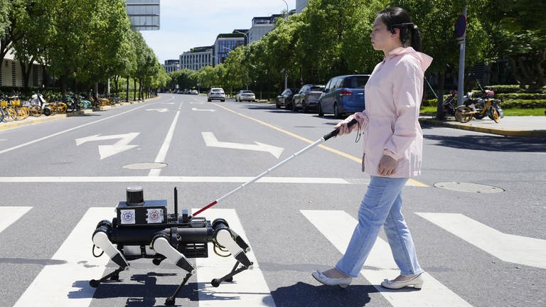 25. September: Wer blind ist, kann sich wohl in naher Zukunft auf diesen sechsbeinigen KI-Roboter verlassen. Entwickelt wurde er von einem Forschungsteam der Shanghai Jiao Tong University als Ersatz für Blindenhunde. Der Roboter wurde als Reaktion auf den Mangel an Blindenhunden in China entwickelt, wo über 17 Millionen Menschen sehbehindert sind und nur etwa 400 solcher Hunde verfügbar sind.