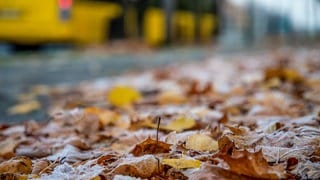 Auf vereistem Laub besteht die Gefahr, auszurutschen. | Wer muss Herbstlaub beseitigen?