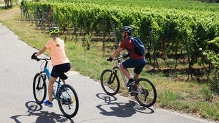 Die schönsten Radtouren in Rheinland-Pfalz |  Ein Paar fährt auf Fahrrädern durch die Weinberge der Pfalz