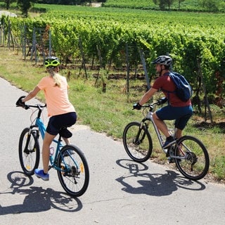 Die schönsten Radtouren in Rheinland-Pfalz |  Ein Paar fährt auf Fahrrädern durch die Weinberge der Pfalz