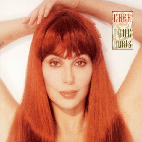 Album-Cover: Cher - "Love Hurts"