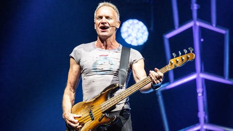 1985 brachte Sting mit "The Dream of the Blue Turtles" sein erstes Soloalbum raus.